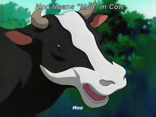 Moo means Moo in Cow photo subs-moo.jpg