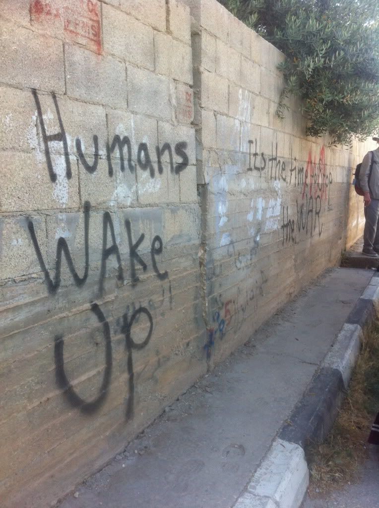 Humans wake up