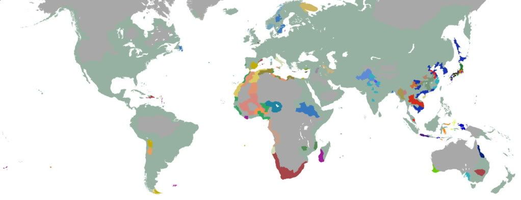 world.jpg