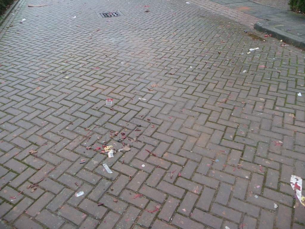 P1010305.jpg