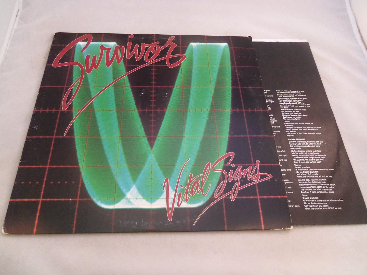 Vital Signs - Survivor