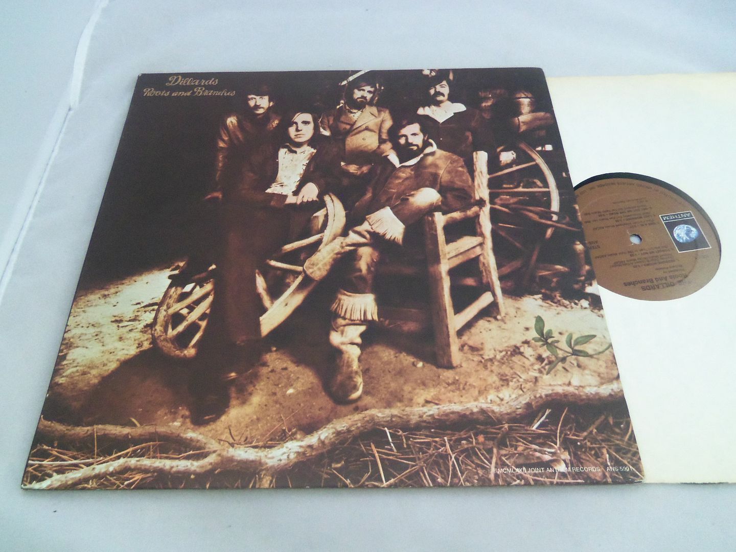 Dillards - Roots And Branches