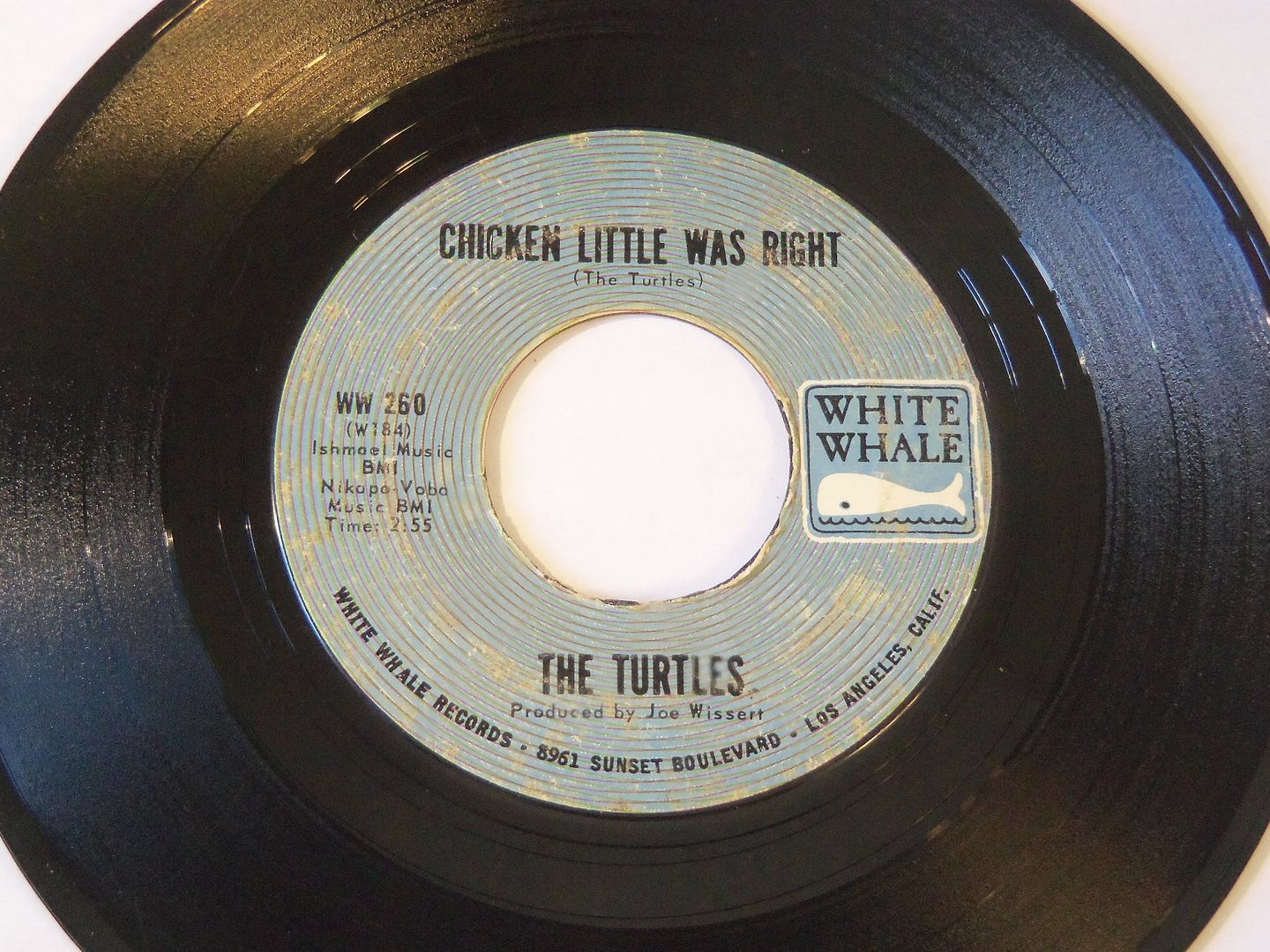 She's My Girl / Chicken Little Was Right - Turtles