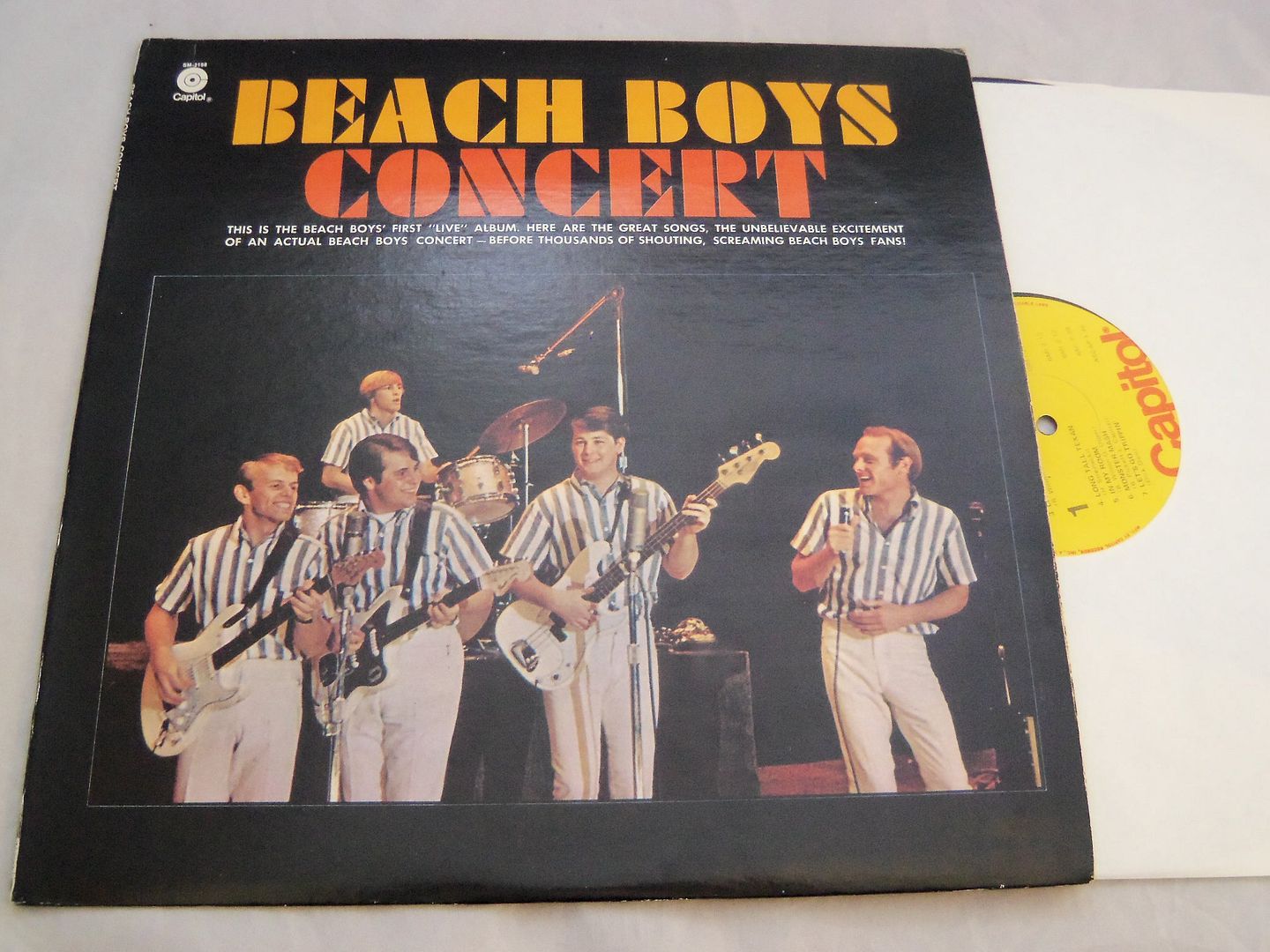 Beach Boys - Concert