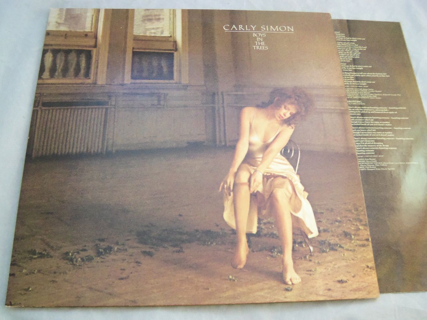 Carly Simon - Boys In The Trees Record