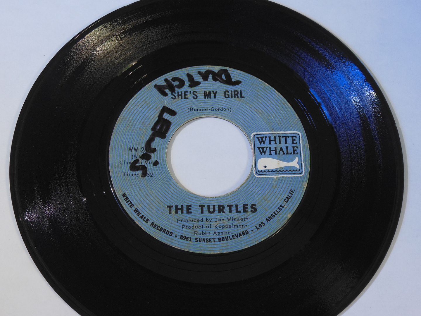 Turtles - She's My Girl / Chicken Little Was Right