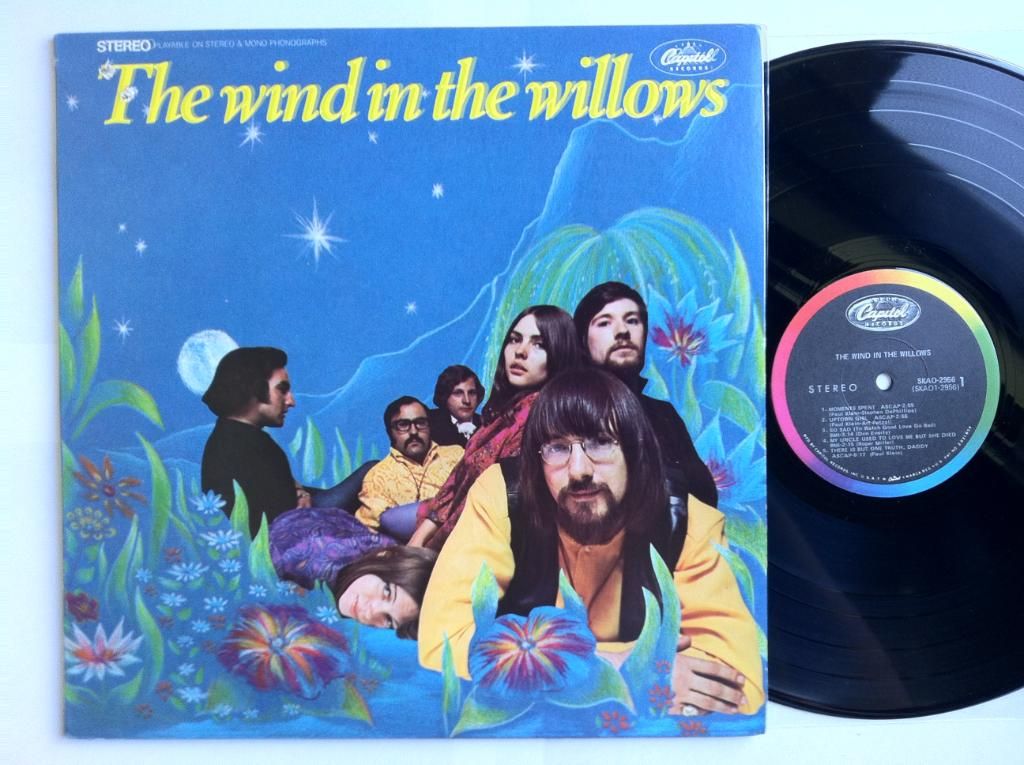 Wind In The Willows - The Wind In The Willows Record