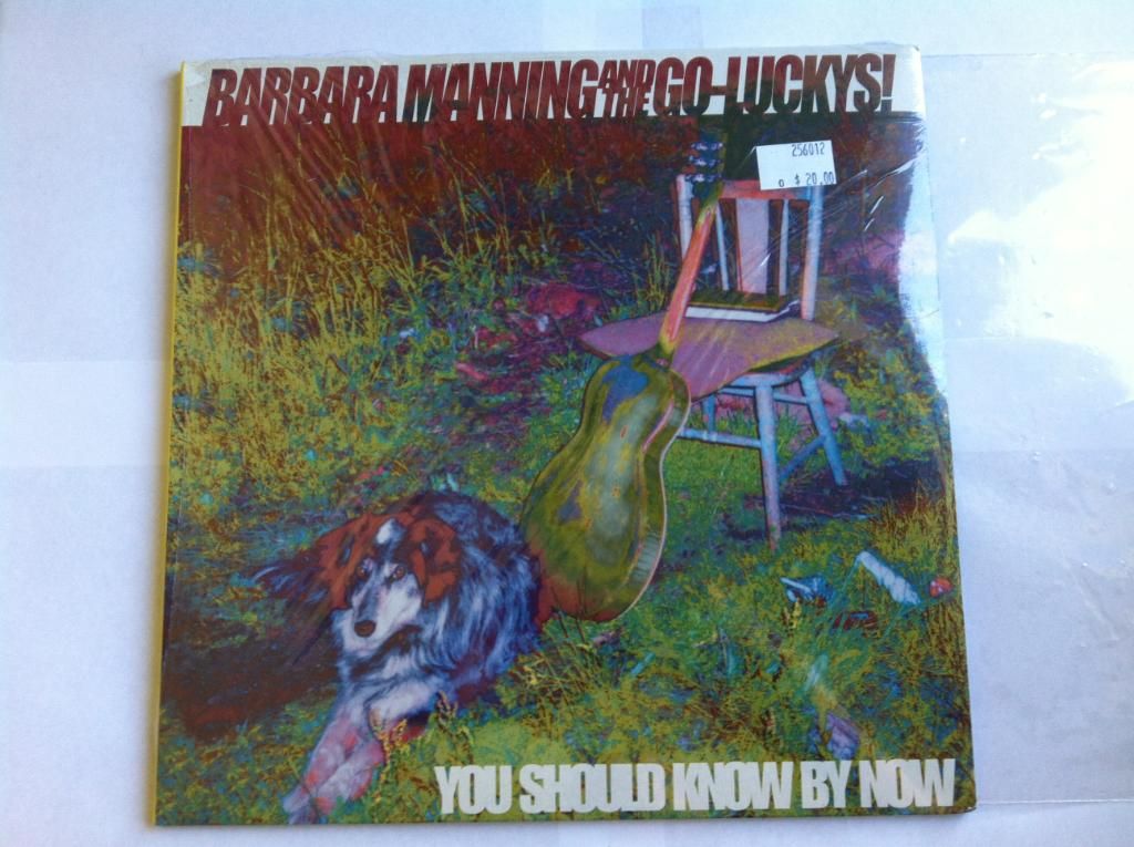 Barbara Manning & The Go-Luckys! - You Should Know By Now Album