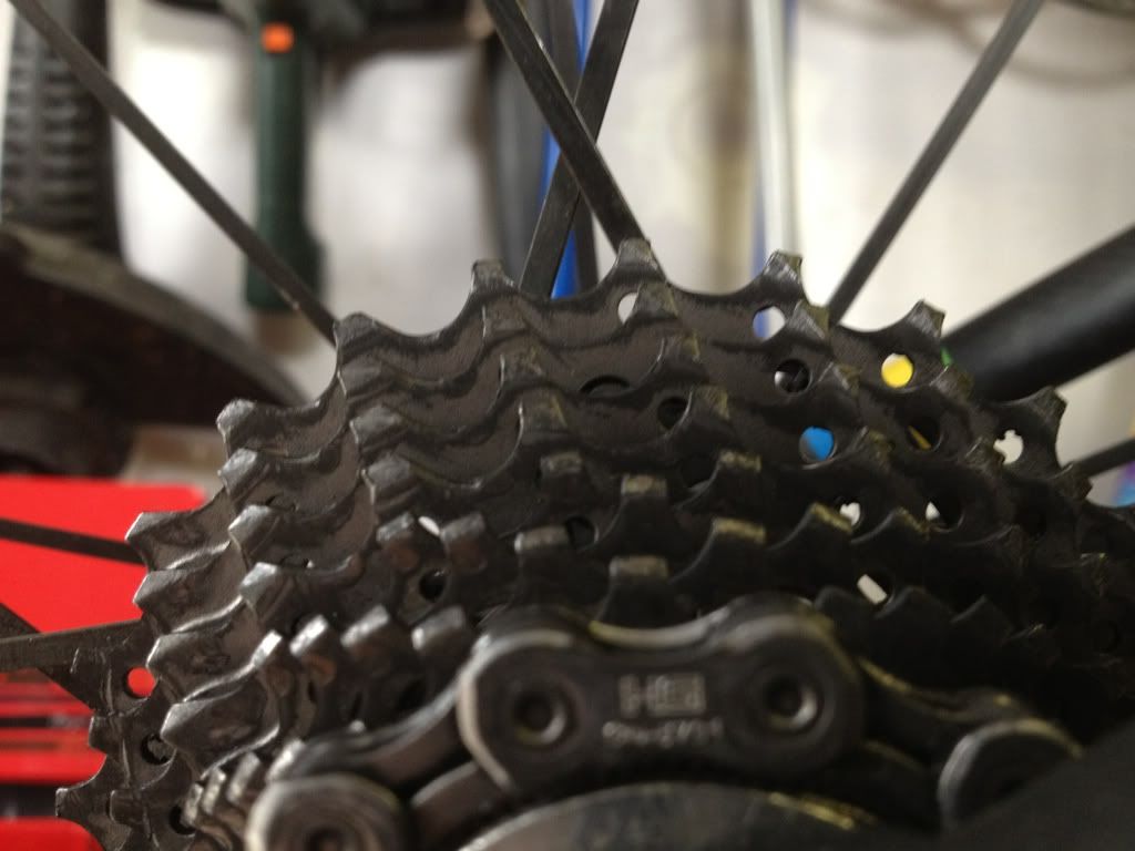 velospace bike forums Cassette wear