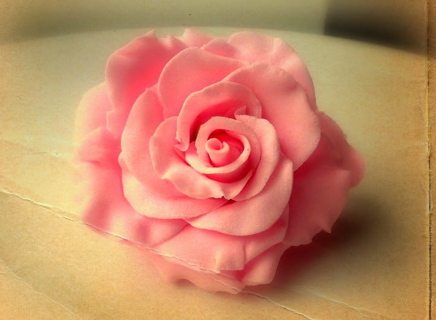 Rose photo:  rose.jpg