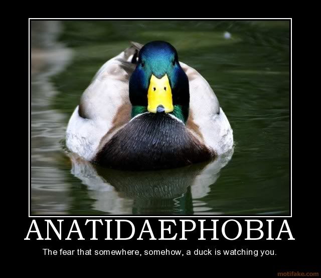 anatidaephobia-duck-fear-demotivational-poster-1232497634.jpg