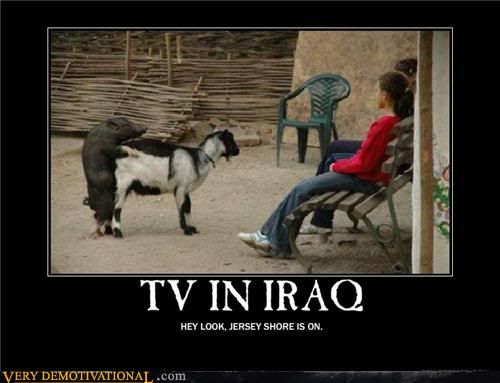 demotivational-posters-tv-in-iraq1.jpg