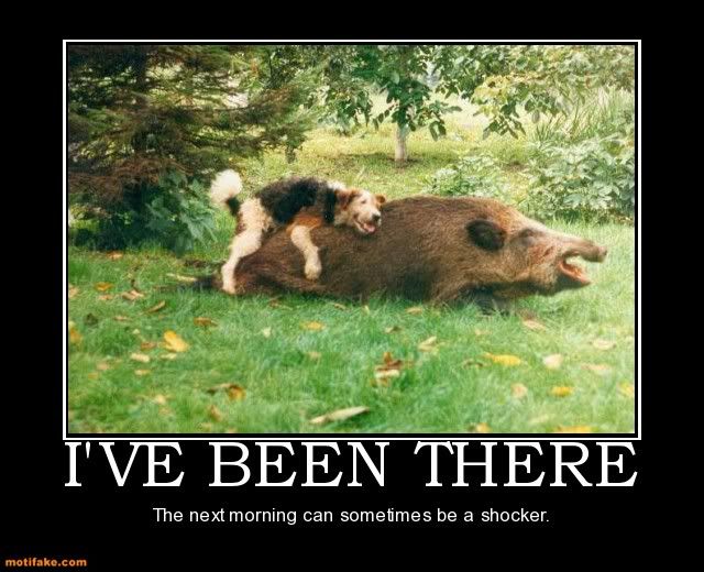 ive-been-there-hog-demotivational-posters-1330395544.jpg