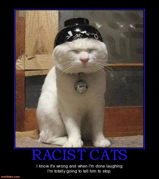 racist-cats-cats-oz-demotivational-posters-1302571507.jpg