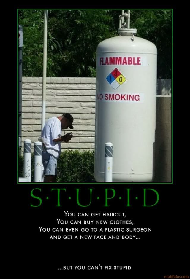 stupid-dumb-crazy-stupid-boom-cubby-demotivational-poster-1289768010.jpg