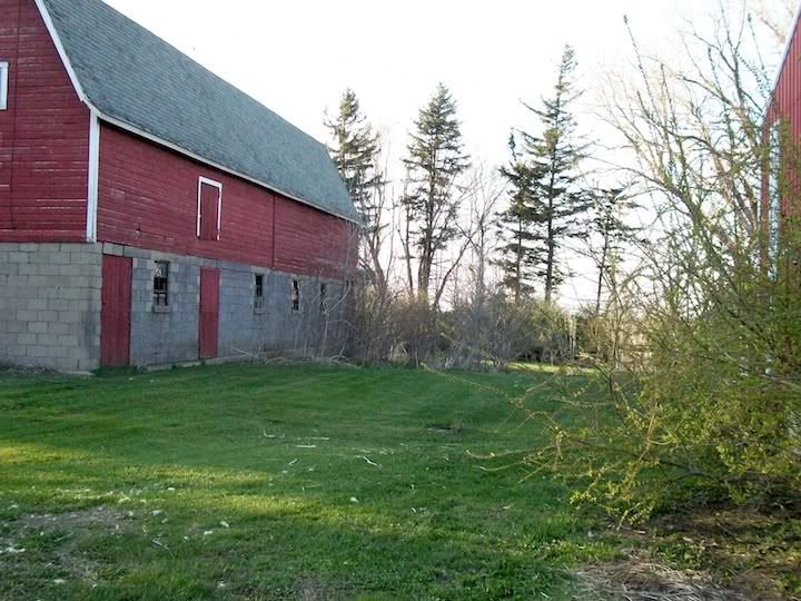 Barn3Pines1.jpg