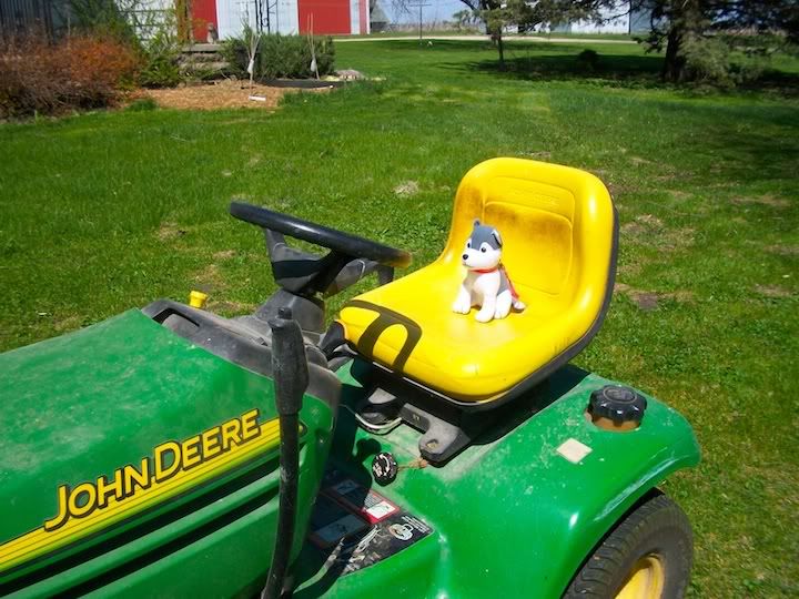 Mowing1.jpg