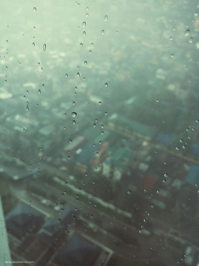Raindrop on glass