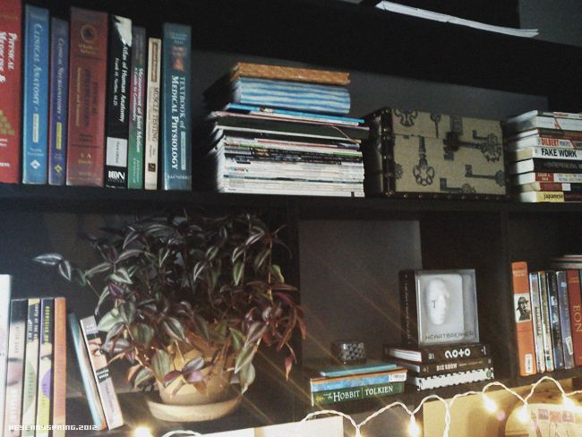 Personal library - HeyLadySpring