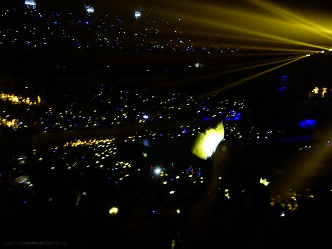 BIGBANG Alive tour crowd from Heyladyspring.com
