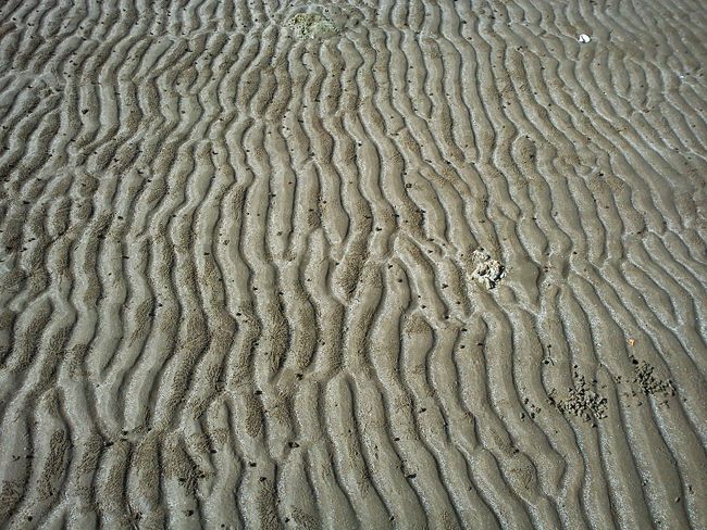 Sand texture (c) Heyladyspring.com
