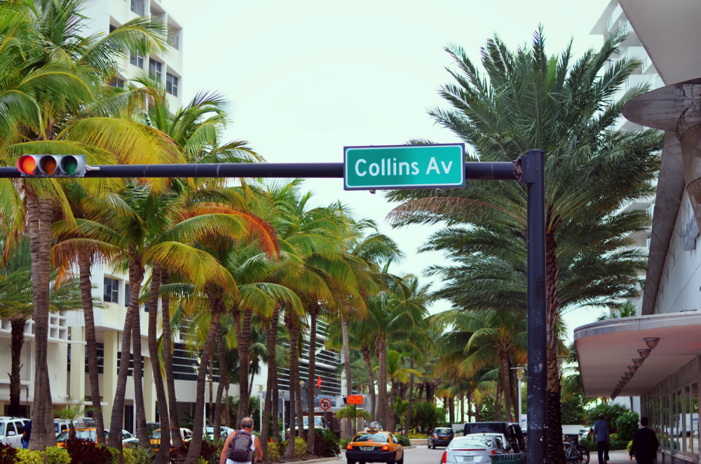 photo miamiDSC_0040_zpsc6c80410.png