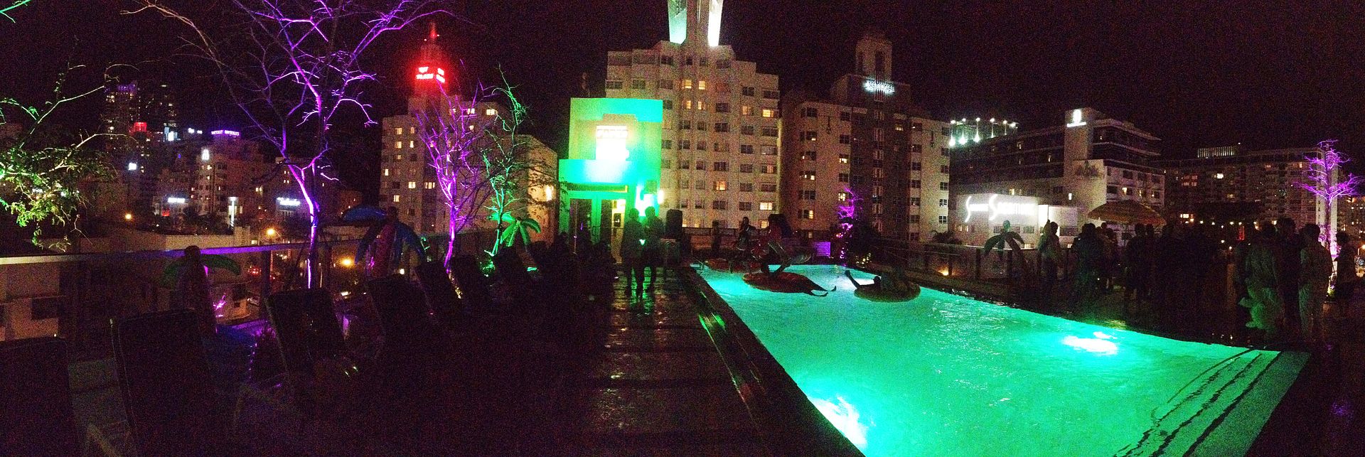 photo miamiIMG_4238_zps227833a0.jpg