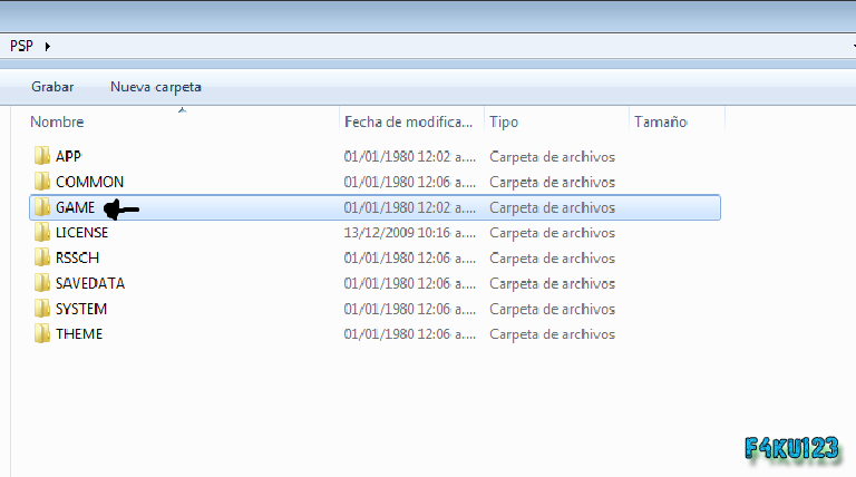 PSP PSP