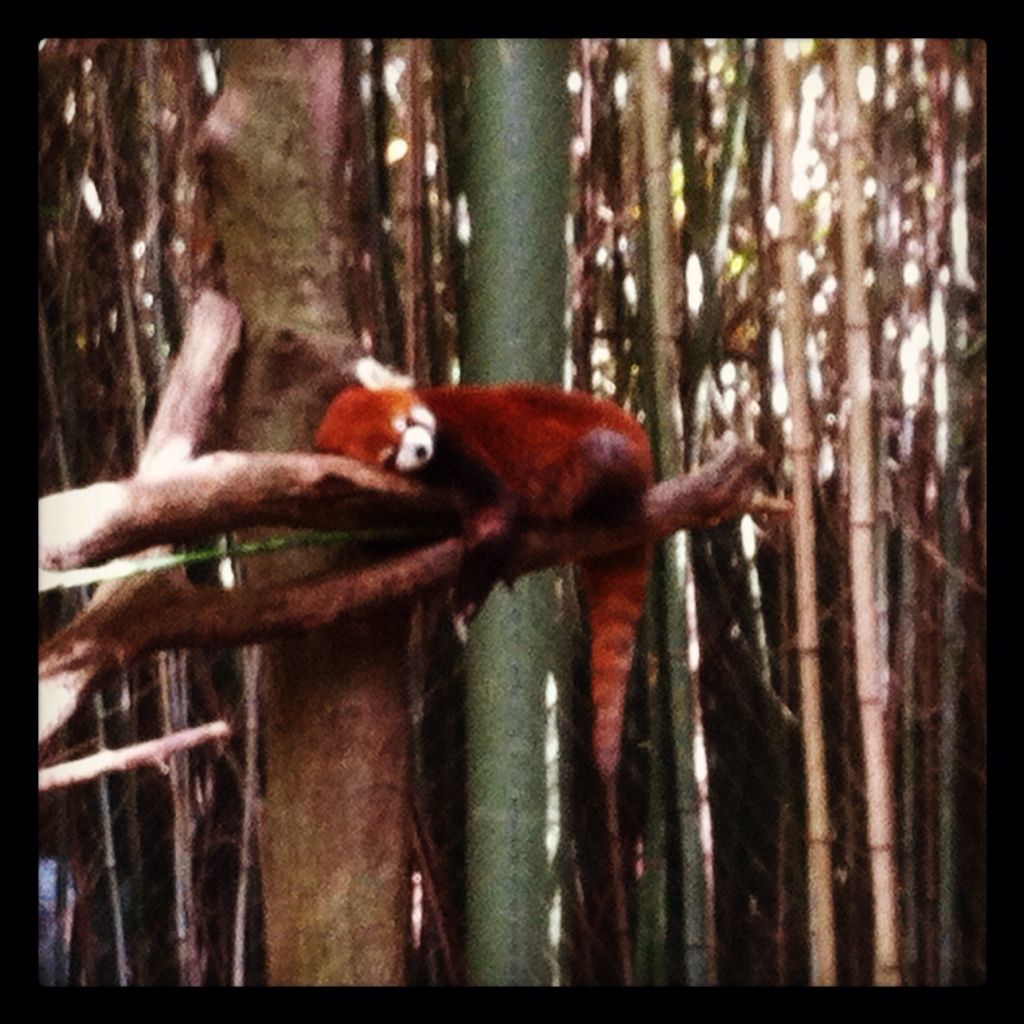Uploaded from the Photobucket iPhone App