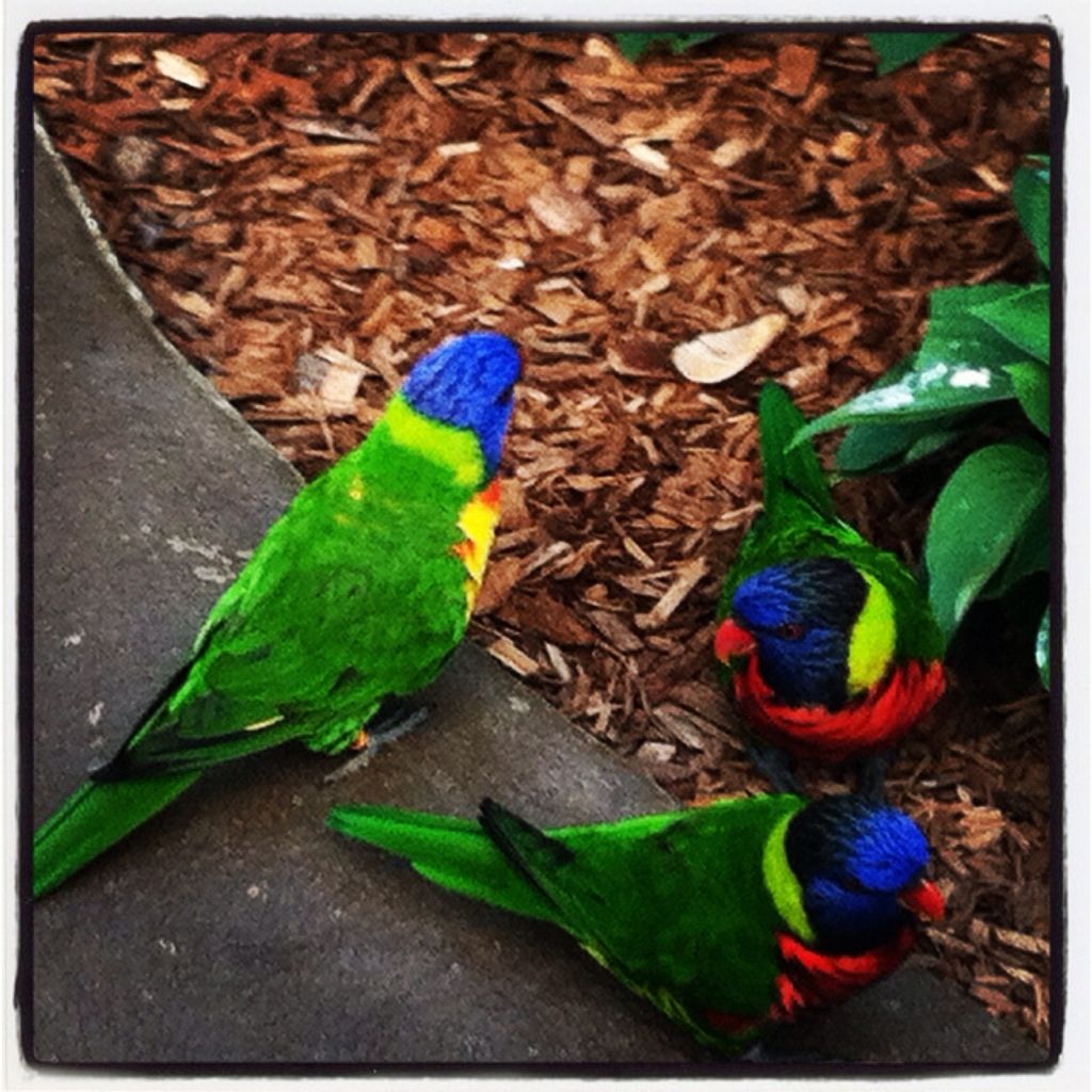 Uploaded from the Photobucket iPhone App