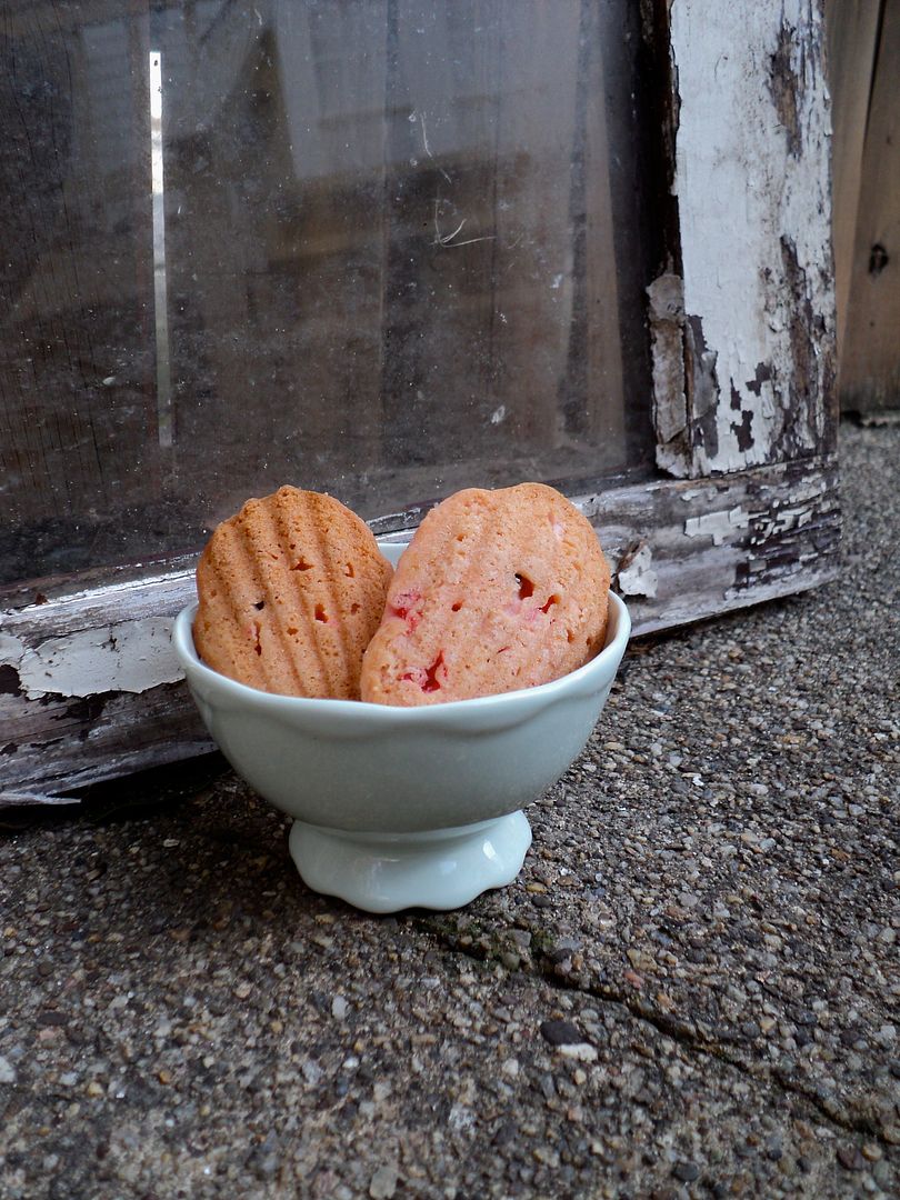 leaves and flours vegan cherry chocolate chip madeleines