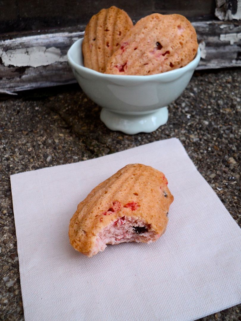 leaves and flours vegan cherry chocolate chip madeleines