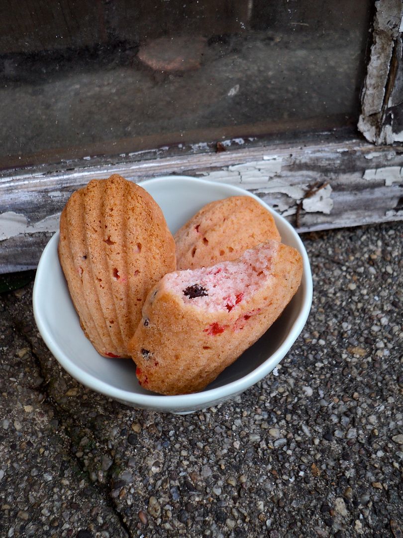 leaves and flours vegan cherry chocolate chip madeleines