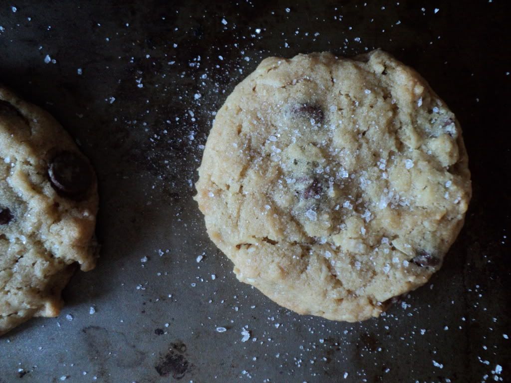 leaves and flours vegan cookies