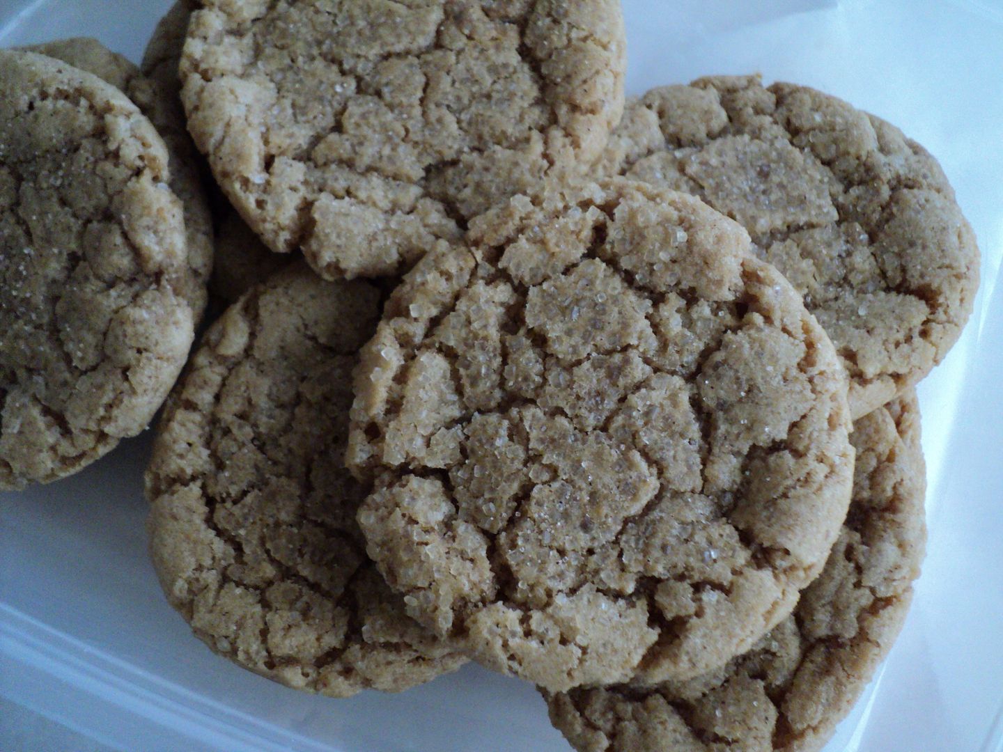 leaves and flours vegan speculoos cookies