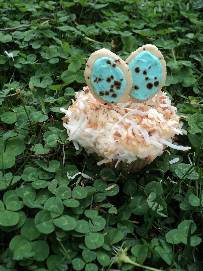 leaves and flours vegan bird's nest cupcakes