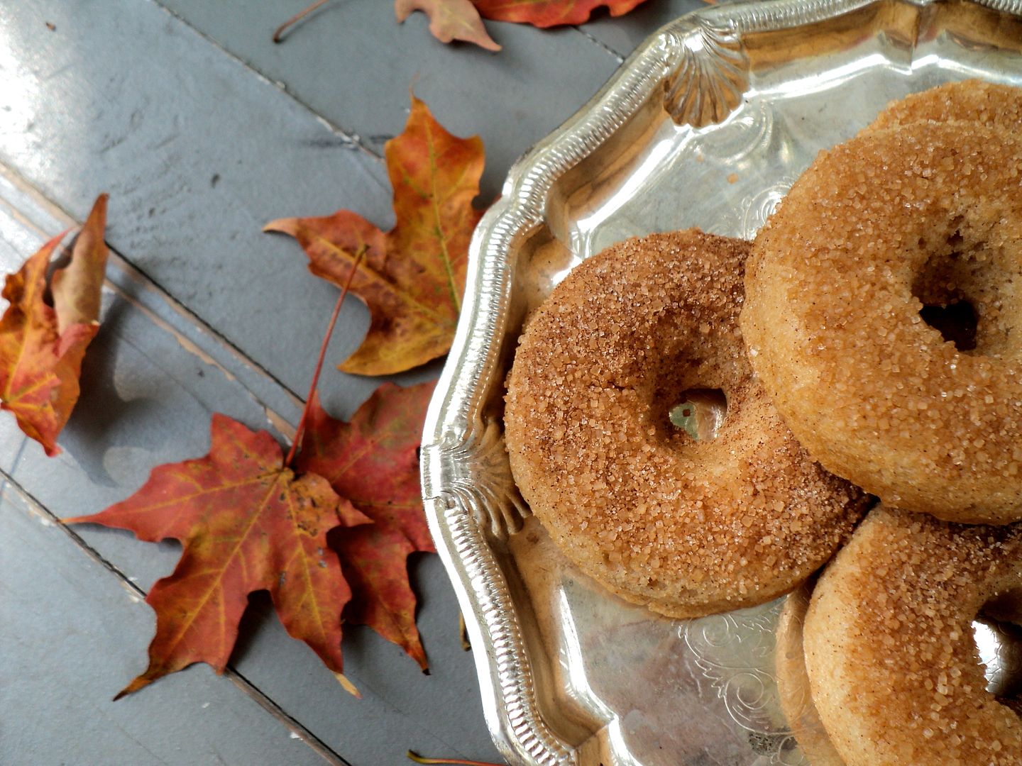 leaves and flours vegan apple cider donuts