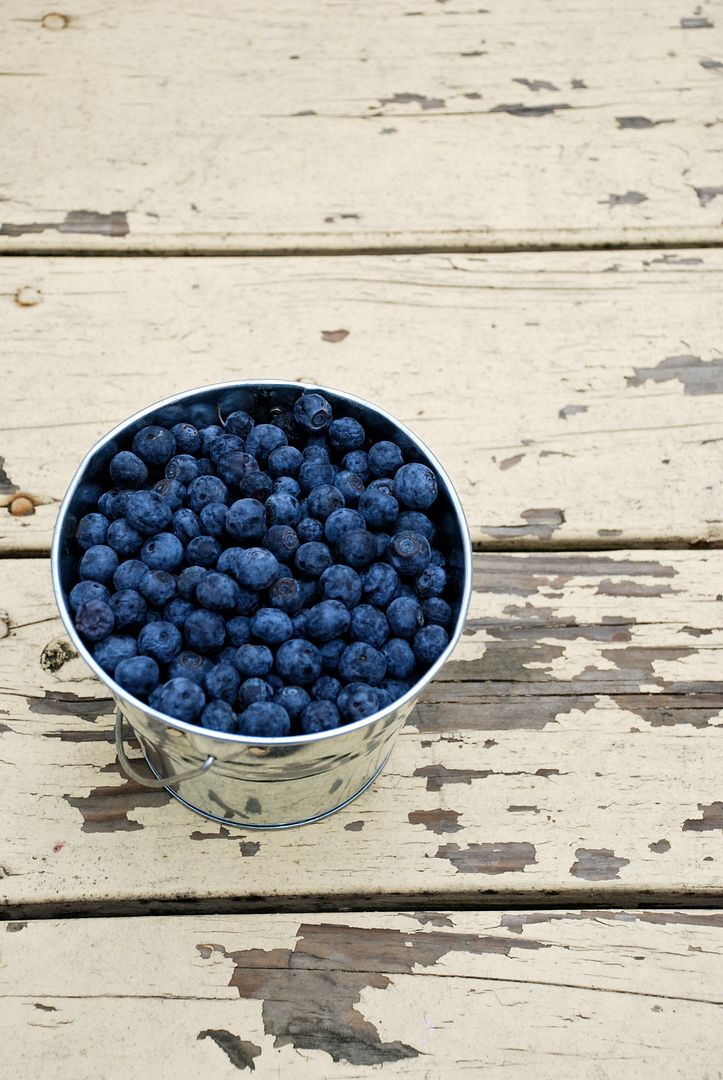 leaves and flours vegan blueberry pie filling