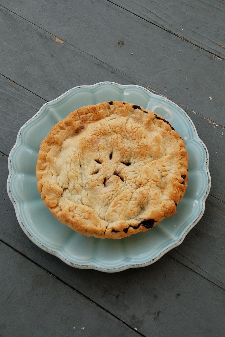 leaves and flours vegan blueberry pie filling