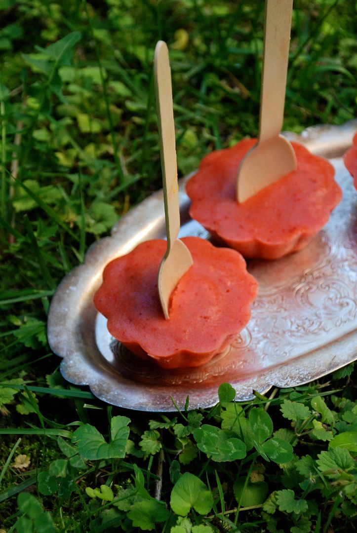 leaves and flours vegan strawberry blood orange popsicles