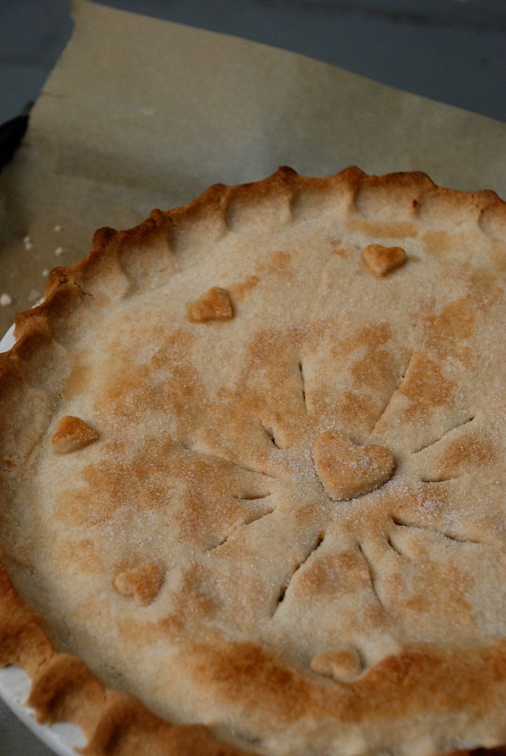 leaves and flours vegan Gluten Free Roll-Out Pie Crust