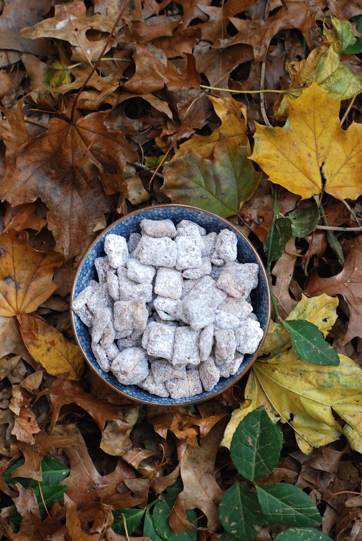 leaves and flours vegan puppy chow muddy buddies