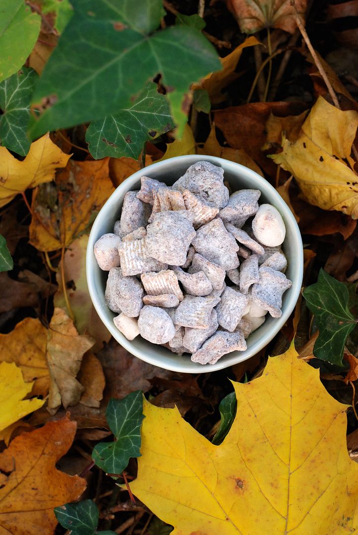 leaves and flours vegan S'mores Puppy Chow