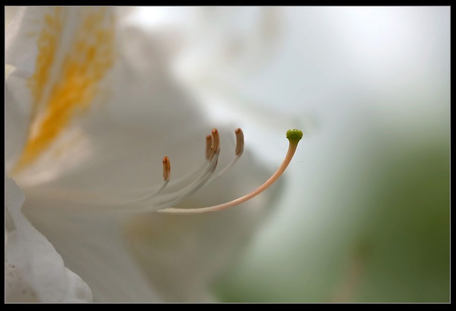 Fotografie