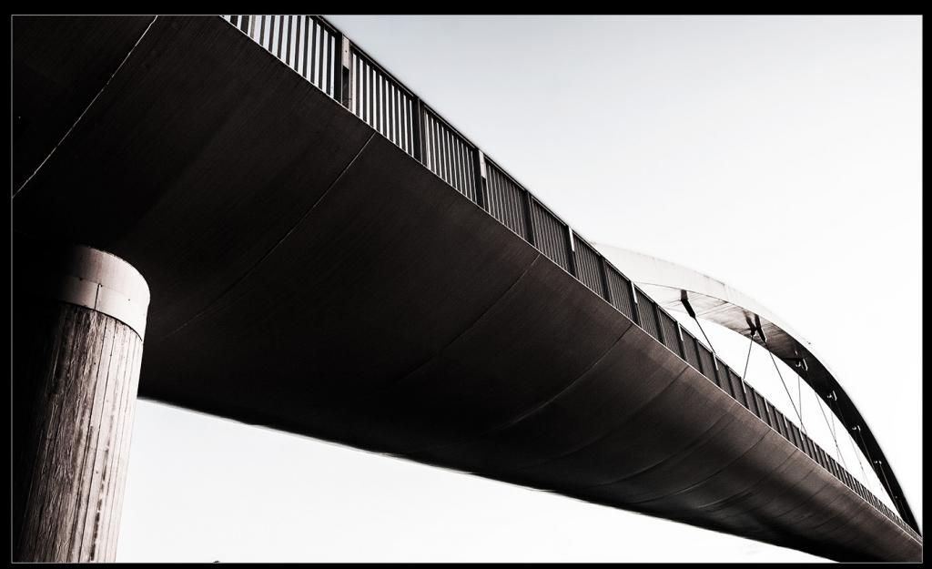 Fotografie