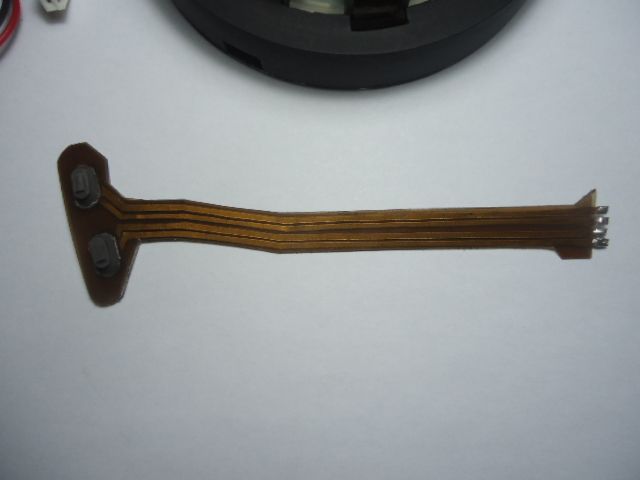 DSC04410.jpg