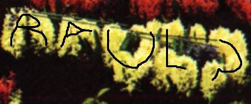 murio