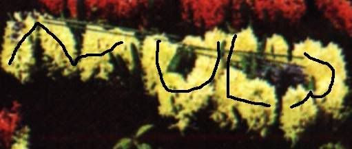 ocultas