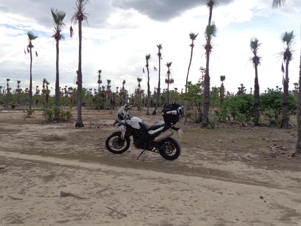 [Imagem: DSC01378_zps057c1cf5.jpg]