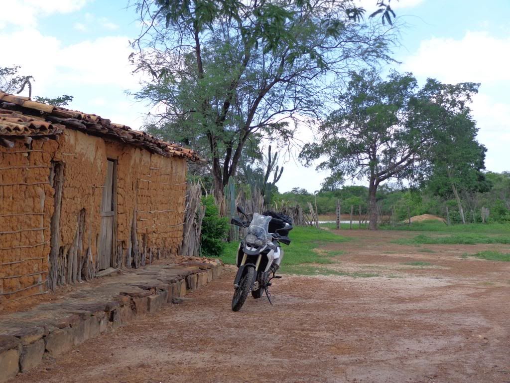 [Imagem: DSC01396_zps8a4f0267.jpg]